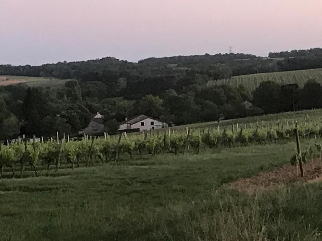 Les Granges Villa Les Lèves-et-Thoumeyragues Exteriör bild